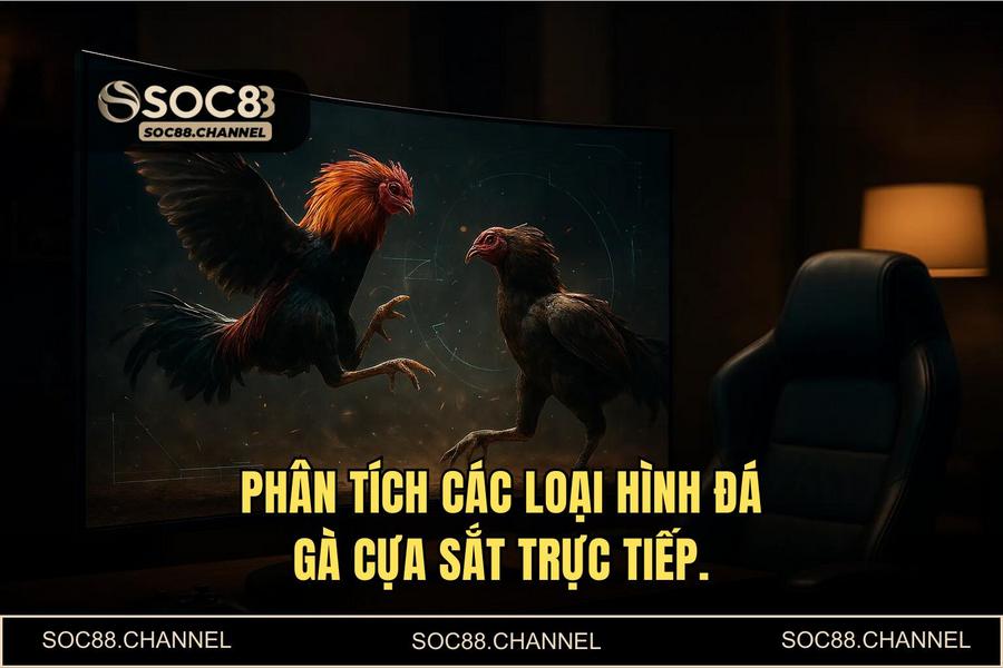 Phân tích các loại hình đá gà đỉnh cao: Từ cựa dao Philippines đến cựa sắt Thomo